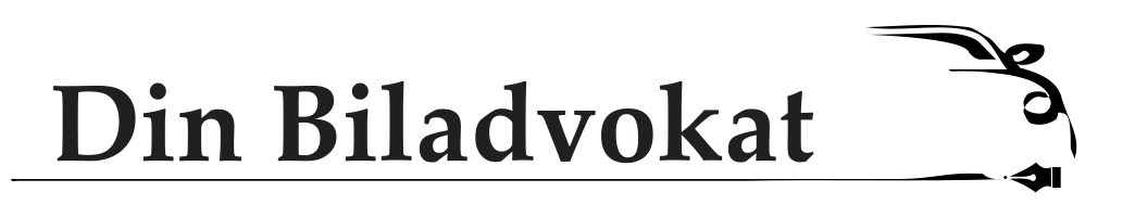 Storgaard & Berner Advokatanpartsselskab logo
